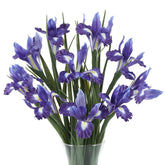 10Pcs Artificial Purple Iris Flowers With 27.5" Long Stems, Realistic Faux Iris Bouquet, Fake Flowers For Home Table Centerpiece, Outdoor Garden & Indoor Floral Arrangements (Purple)
