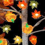 Thanksgiving Decor Lights 16.7Ft 50 Led 3D Pumpkin Acorn Maple Leaf Fairy String Light Fall Lights Battery Powered For H