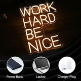 Work Hard Be Nice Neon Sign Warm White USB Dimmable LED Wall Light for Office Classroom Study Room Decor