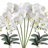 5 Pcs Artificial Phalaenopsis Flowers And 4 Bundles Leaves,Artificial Orchid Flowers With 4 Bundles Leaves Stem Plants For Home Wedding Decoration