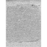 Tim Holtz - Ranger Distress CRCKL Paint TRANSLUCEN, Translucent, 3