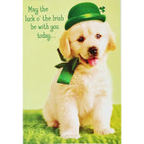 May The Luck Of The Irish Be With You Today And May You Be Smiling Happy St. Patrick'S Day With Golden Retriever Labrador Puppy Dog