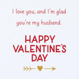 Hallmark Valentines Day Card for Husband (Love You No Matter What)