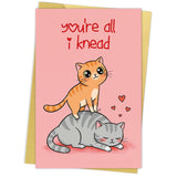 Pun Cat Valentines Day Card, Cute Valentine Card For Him Her, Sweet Anniversary Card & Gifts For Husband Wife, Lovely Valentines Day Card Gift For Boyfriend Girlfriend
