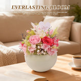 Preserved Flowers Arrangement In Mini Ceramic Vase Real Touch Forever Roses Gifts For Women (Pink)