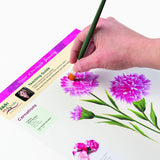Donna Dewberry Flowers Of The Month Let'S Paint Kit, 2 Ounce