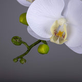 Orchid Stems Artificial Flowers Real Touch Latex Faux Phalaenopsis Branches 9 Large Blooms 38 Inches 2Pcs White