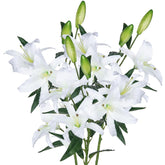 Lily Artificial Flowers Bulk Bouquet 30” Long Stems Dozen Blooming Silk Flower Heads Wedding Decoration Indoor Home Decor Diy Floral Crafts Table Centerpiece, 3Pcs (White)