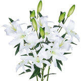 Lily Artificial Flowers Bulk Bouquet 30” Long Stems Dozen Blooming Silk Flower Heads Wedding Decoration Indoor Home Decor Diy Floral Crafts Table Centerpiece, 3Pcs (White)