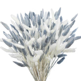 120Pcs Dried Bunny Tails Flower Lagurus Ovatus Natural Dried Flowers Rabbit Tail Grass Gray And White Dried Pampas Grass Dried Floral Arrangement For Boho Decor Wedding Home Diy Farmhouse Table