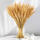 100 Stems Dried Wheat Stalks For Decor - Sheaves Grass Natural Bunch Flowers Home Wedding Table Kitchen Boho Farmhouse Fall Arrangement Diy Decoration 12.9 Inches