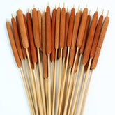 Natural Dried Cattail Flowers, 30 Pcs Assorted Cattails For Diy Rustic Floral Arrangements And Home Wedding Bouquet Decorations, Fall Centerpiece Decor (Brown, 17 Inch)
