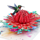Pop Up Birthday Card - 3D Hummingbird King Portea Flower Greeting Card For Anniversary, Get Well, Thank You, Just Because, All Occasions, Gift For Wife Mom Grandma Daughter Sister Aunt