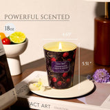 Homelights Scented Candles For Women & Men, 6.7Oz Candle Jars Aromatherapy Single Wick Candle, Ideal For Eclectic Mixed Styles Home Decor And Gifts, Champagne Cassis & Honey