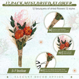 12 Pack Boho Dried Flower Bouquet Mini Wedding Handmade Dry Flowers Decor For Vase Crafts Diy Photo Boutonniere For Men Floral Plant For Bridesmaid Gift Birthday Decor(African Daisy)