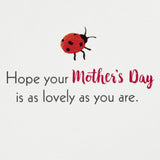 Hallmark Paper Wonder Mothers Day Pop Up Card (Succulent, Moms Make the World More Beautiful) (599MBC1137)