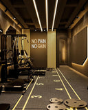 No Pain No Gain LED Neon Sign USB Dimmable Wall Light for Gym Office Man Cave Gamer Room Decor