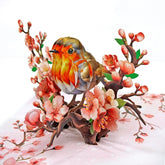 Cutpopup Robin Birthday Card Pop Up, Mothers Day, 3D Popup Greeting Card (Robin Cherry)