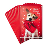 Hallmark Pack of Valentine's Day Cards, Dog with Box of Chocolates (10 Valentine's Day Cards with Envelopes)