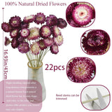 22 Pcs Natural Dried Daisy Flowers Bouquet Dried Flower Purple Daisies Dried Sunflowers Chrysanthemum With Stem For Wedding Farmhouse Table Vase Decor Home Diy Flower Arrangement