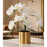 Potted Artificial Orchid Flowers,Real Touch White Fake Artificial Orchid Flower In Gold Vase Arrangement For Table Living Room Decoration (White,Gold Vase)