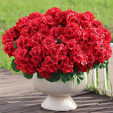 8 Bundles18" Artificial Geranium Flowers For Outdoor Spring Summer Decoration,Fake Silk Geranium Faux Plants Uv Resistant For Front Door Planter Outside Home Garden Balcony Yard Porch Decor (Red)