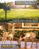 2 Pack Solar String Lights Outdoor 66FT 200 LED Warm White Fairy Lights Waterproof for Patio Yard Tree Wedding Christmas Decor