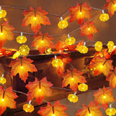 2 Pack & Timer - Thanksgiving Decorations Fall Garland With Pumpkin Lights Fall Decorations For Home, Total 60Led 20Ft M