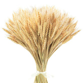 17.7 Inches Dried Wheat Stalks, 400 Stems Dried Flowers 100% Natural Wheat For Home Kitchen Wedding Party Table Centerpiece Harvest Wreath Boho Farmhouse Diy Decoration