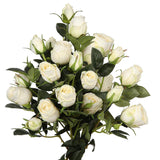 Artificial Rose Silk Flowers 21" Long Fake Rose Flower Bushes For Wedding Decor Home Decoration Faux Roses Decor- Fake Cream Rose With Stem -3Pcs Cream Flower