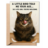 Funny Birthday Cards For Women, Men, Him, Her - Folded Card 5"X7", 350Gsm Cardstock With Sticker, Envelope - Humorous Unique Gift Cat Lover For 30Th, 40Th, 50Th, 60Th, 70Th, 80Th, 90Th, 100Th