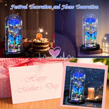 Beauty And The Beast Rose Gifts For Women, Forever Light Rose In Glass Dome, Mother'S Day Rose Flower Gifts For Mom Grandma Wife, Birthday Valentine Day Thank You Gift For Her
