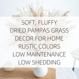 Fluffy Dired Reed Grass, Boho Decor, Pampas Grass Bulk, Dried Flowers For Wedding Home Table Decor Desk Decor, Rustic Farmhouse Decor Boho Flowers Home Table Decor (White & Brown)