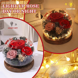 Valentines Gifts For Her Preserved Flowers In Glass Dome Long-Lasting Eternal Roses Birthday Gifts For Women Mom Grandma Wife Girlfriend Red Forever Flowers For Delivery Prime