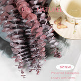 20Pcs Dried Red Eucalyptus Stems 17" Natural Fresh Eucalyptus Plant For Shower Hanging, Wedding Decor Home Decor Farmhouse Decor Diy Spring Decor,Green
