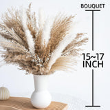Fluffy Dired Reed Grass, Boho Decor, Pampas Grass Bulk, Dried Flowers For Wedding Home Table Decor Desk Decor, Rustic Farmhouse Decor Boho Flowers Home Table Decor (White & Brown)