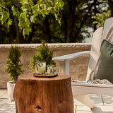 Frasier Fir Pine Needle Candle – Holiday Candles For Home Scented With Notes Of Crisp Siberian Fir, Cedarwood & Sandalwood – Christmas Decor – Christmas Gifts For Women & Men (6.5 Oz)