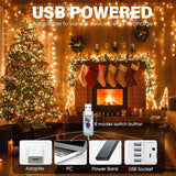 66FT USB Plug In Fairy Lights 200 LED Warm White Copper Wire String Lights with Remote Timer 8 Modes for Bedroom Decor