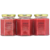 3 Pack - Christmas Hearth Scented Blended Soy Candle | Spice, Wood & Fireplace Aroma | Hand Poured In Usa By