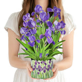 3D Greeting Cards Pop Up Cards 16" Iris Paper Flower Bouquet Gifts For Women Mom Wife Birthday, Anniversary, Get Well Cards With Note Card & Envelope, Romantic Iris