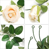 3 Pack Artificial Champagne Rose Vines Floral Garlands Total 19.5 Ft Fake Vine Silk Flower Garland For Indoor Outdoor Home Wedding Arch Garden Wall Decoration