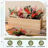 12 Pack Boho Dried Flower Bouquet Mini Wedding Handmade Dry Flowers Decor For Vase Crafts Diy Photo Boutonniere For Men Floral Plant For Bridesmaid Gift Birthday Decor(African Daisy)