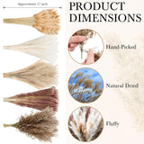 330 Pcs Dried Pampas Grass Decor, 17 Inch Dried Flower Plants Bulk White And Brown Pampas Grass Reed Bunny Tails Bouquet For Wedding Boho Home Table Decor Rustic Farmhouse Party Decoration
