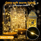20 Pack Battery Operated Fairy Lights 7FT 20 LED Warm White Mini String Lights Silver Wire Firefly Twinkle Lights for Mason Jars Wedding Party Christmas Decor