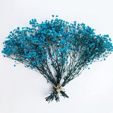 Preserved Baby'S Breath 3 Bunches, 100% Natrual Fresh Gypsophila Long Lasting Flowers For Vase Arrangements Home Decoration Photo Props Parties And Weddings, Diy Décor-Light Blue