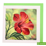 Hibiscus Flower, Quilling Art Greeting Card For Birthday, Valentine'S Day, Mother'S Day, Anniversary, Thank You, Get Well, 6" X 6"