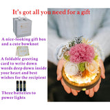 Long-Lasting Real Flowers, Unique Floral Gift For You To Send Love For All Occasions, For Indoor Decoration (Pink Carnation, White & Yellow Roses Arrangement)