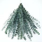 20 Pcs 17" Preserved Eucalyptus Shower & Decor Stems - Natural Aromatherapy Branches For Spa, Vase Fillers, Wedding, And Home Decoration