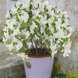2 Pcs Artificial Flowers Bougainvillea Outdoor White Faux Bougainvillea Flowers With Stems Artificial Bougainvilleas Silk Flowers Branches For Garden Wedding Centerpieces Table Runner Decor
