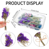 30 Pcs Mini Don'T Forget Me Flower Bouquets Purple Natural Dried Flowers Bouquet Dry Flower&Leaves Lavender Dried Embossing Flower Bundles Plant Stem Bunch For Diy Craft,Photo Props,Wedding Decoration